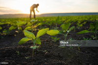 Dl Agricoltura: Cia, da governo risposte a nostre richieste. Occorrono ora modifiche