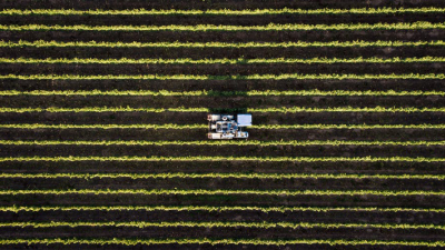 Ucraina: Cia, l’agricoltura non può fermarsi