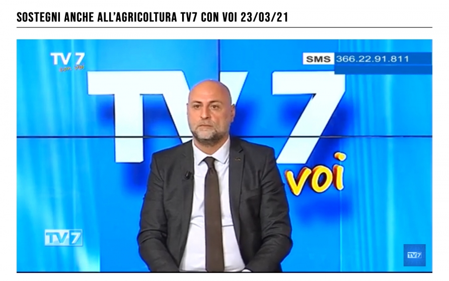 Il presidente Passarini ospite di TV7