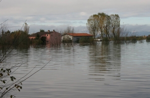 Veronese e Polesine, ok al ristoro dei danni