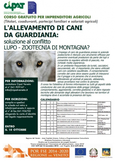 L&#039;allevamento di cani da guardiania