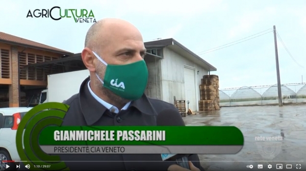 Anche l’agricoltura convenzionale può essere sostenibile