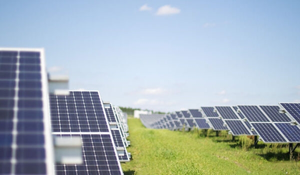 Mega impianto fotovoltaico a Loreo, vengano coinvolti gli agricoltori
