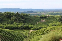 Colline del Prosecco, un premio alla sostenibilità