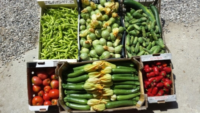 Chiusa la Fase 1, &egrave; tempo di bilanci