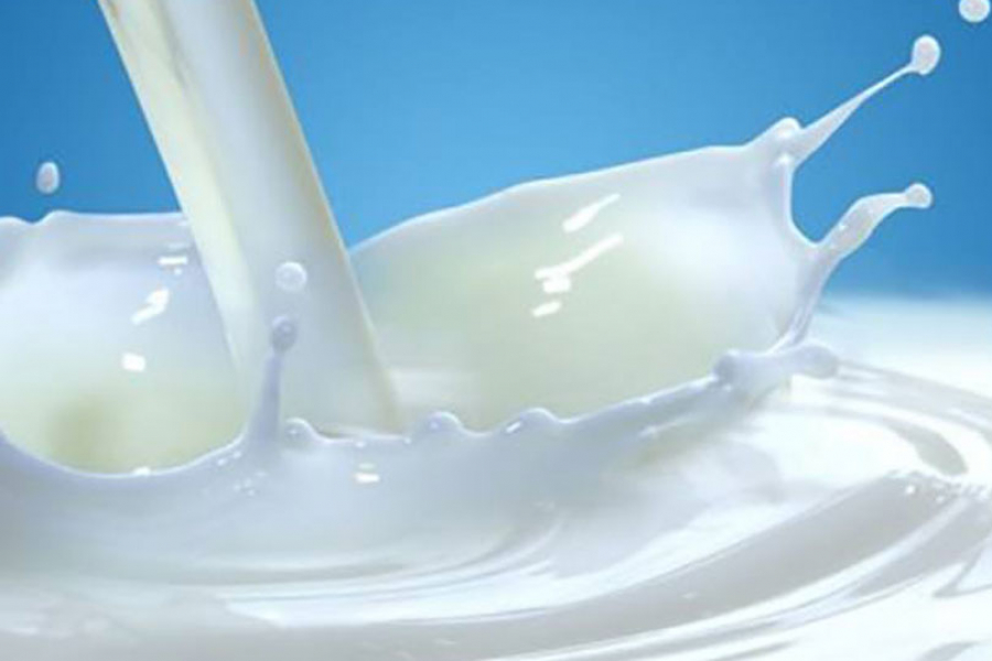 Cia Veneto, adeguamenti insufficienti per il prezzo del latte