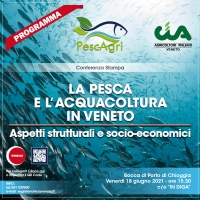 La pesca e l'acquacoltura in Veneto