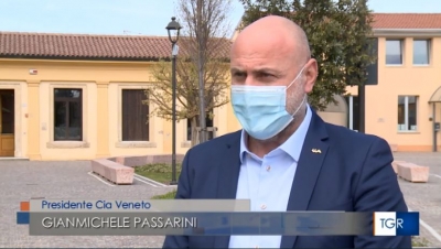 Veneto. Gelo d'aprile, raccolti dimezzati. Allarme degli agricoltori