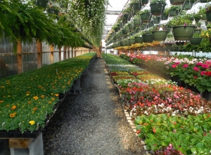 Cia Veneto al Flormart di Padova