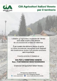 Cia Veneto lancia una raccolta fondi per le popolazioni danneggiate dal maltempo